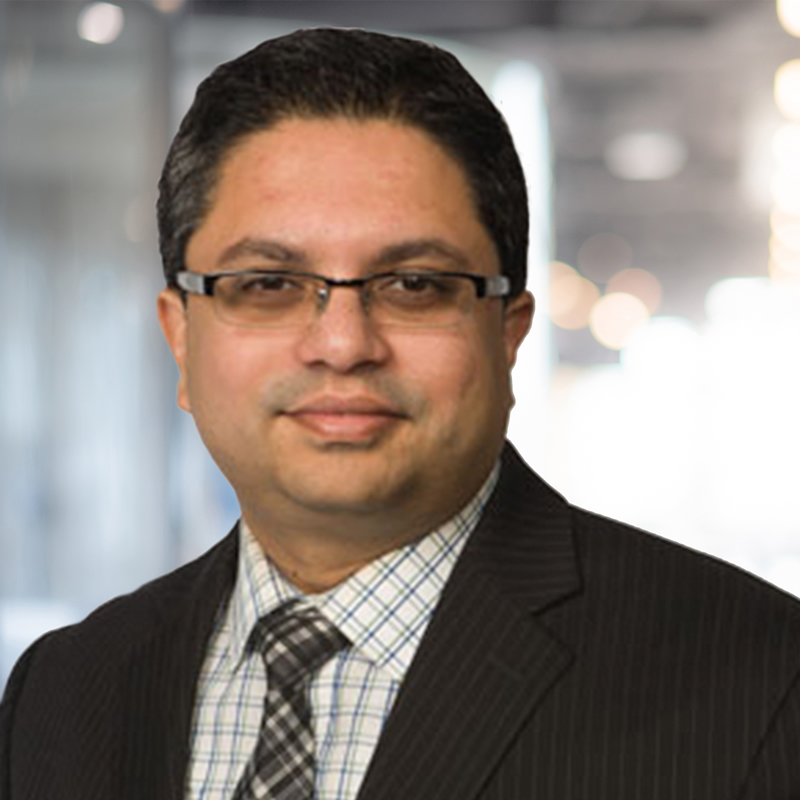 Rahul Tikekar - 